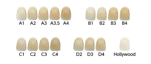 サイズ・カラー